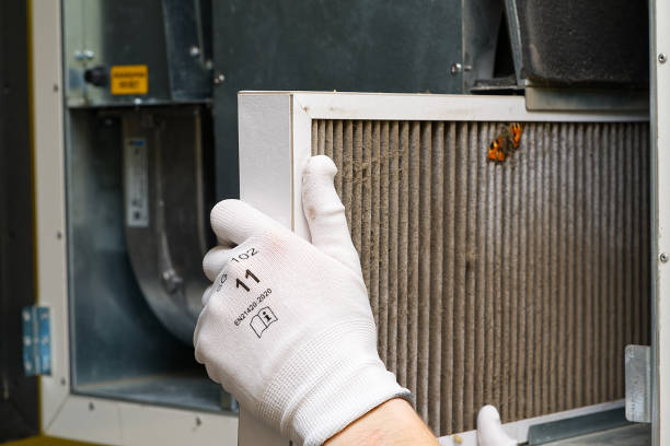 Best Air Quality Test  in West Miami, FL