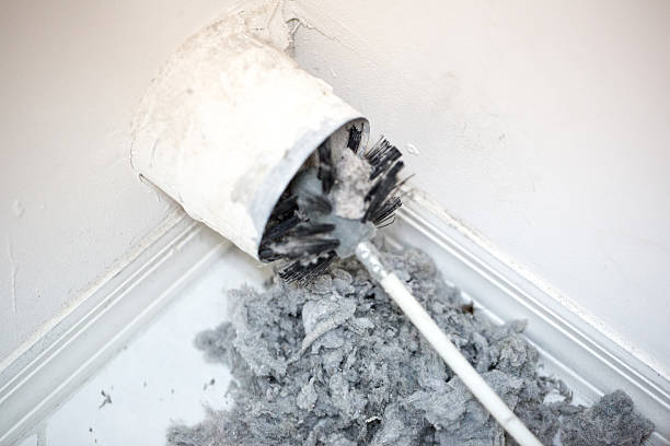 Best Home Air Vent Cleaning  in West Miami, FL